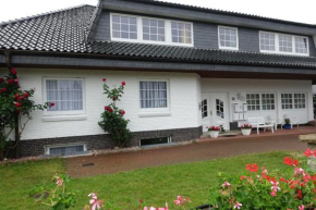 Möwe, Kappeln